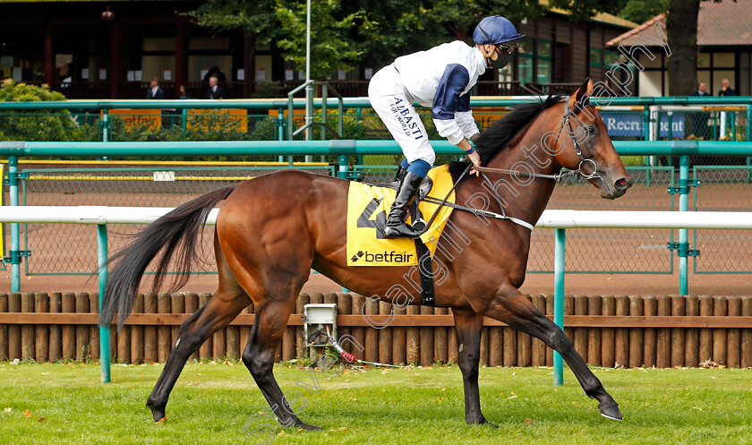 Hello-Youmzain-0002 
 HELLO YOUMZAIN (Kevin Stott)
Haydock 5 Sep 2020 - Pic Steven Cargill / Racingfotos.com