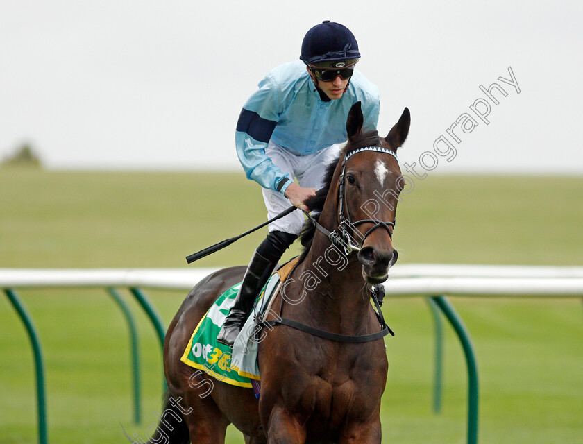 Cachet-0002 
 CACHET (James Doyle)
Newmarket 8 Oct 2021 - Pic Steven Cargill / Racingfotos.com