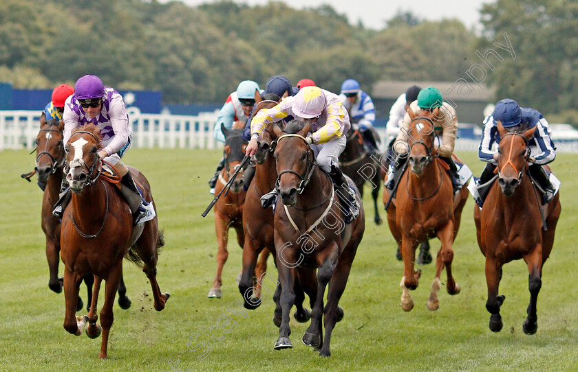 Cosmic-Power-0002 
 COSMIC POWER (centre, Charles Bishop) beats AMARILLO STAR (left) in The Italian Tourist Board British EBF Novice Auction Stakes
Ascot 6 Sep 2019 - Pic Steven Cargill / Racingfotos.com