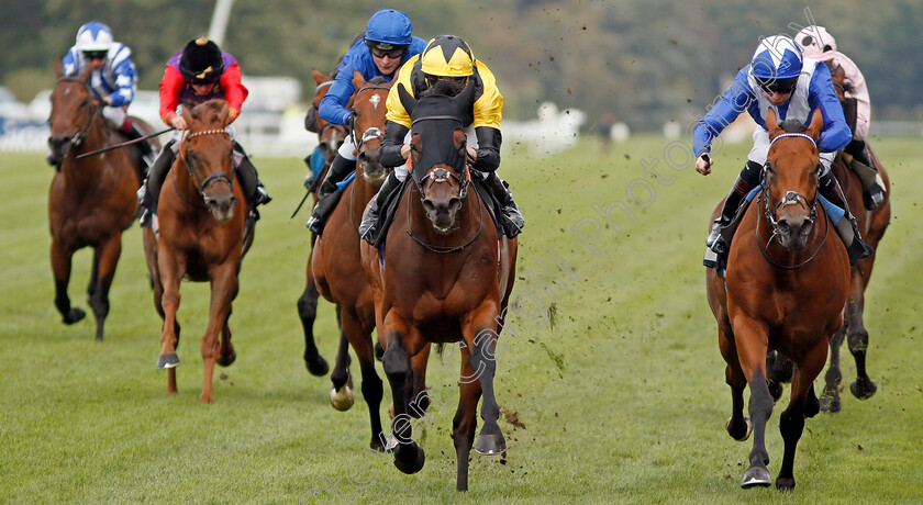 Bless-Him-0006 
 BLESS HIM (centre, Jamie Spencer) beats LORD NORTH (right) in The Lexicon Bracknell Handicap
Ascot 6 Sep 2019 - Pic Steven Cargill / Racingfotos.com