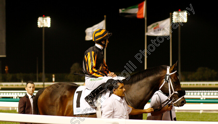 Kimbear-0001 
 KIMBEAR (Pat Dobbs)
Meydan 10 Jan 2019 - Pic Steven Cargill / Racingfotos.com