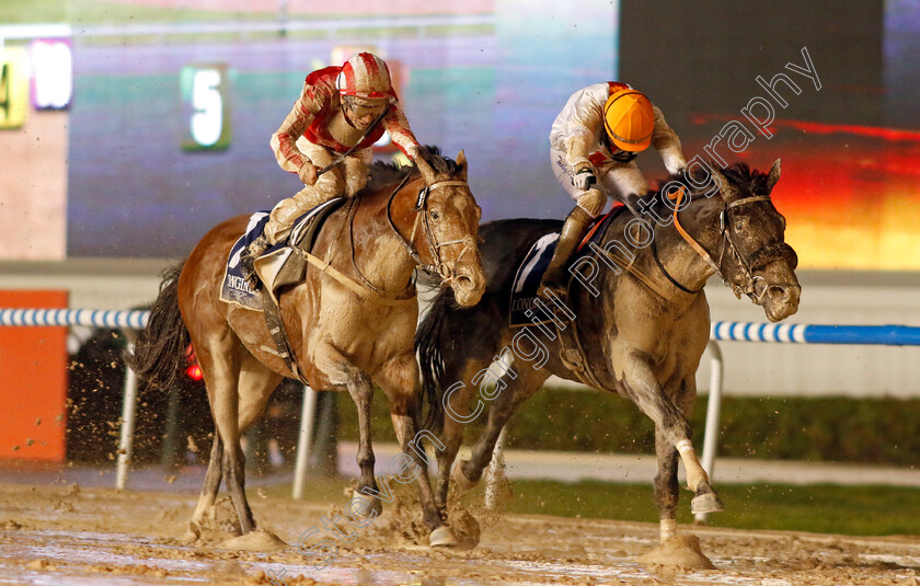 Franz-Strauss-0002 
 FRANZ STRAUSS (right, Tadhg O'Shea) beats WITHERING (left) in The Longines Legend Diver Collection Handicap
Meydan 27 Jan 2023 - Pic Steven Cargill / Racingfotos.com