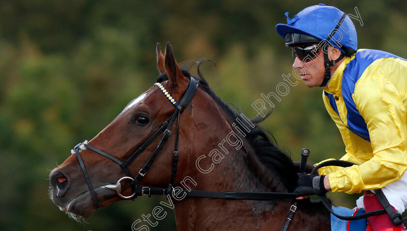 Dubai-Warrior-0003 
 DUBAI WARRIOR (Frankie Dettori)
Chelmsford 4 Sep 2019 - Pic Steven Cargill / Racingfotos.com