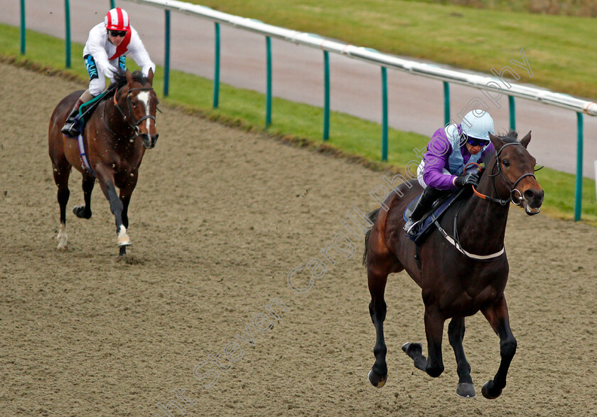 Dash-Of-Spice-0005 
 DASH OF SPICE (Sean Levey) wins The Betway Maiden Stakes Lingfield 13 Dec 2017 - Pic Steven Cargill / Racingfotos.com