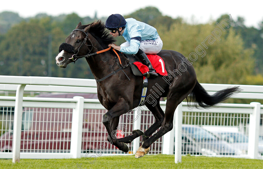 Archetype-0001 
 ARCHETYPE (Oisin Murphy) wins The All New Fiesta At Trust Ford Handicap Sandown 1 Sep 2017 - Pic Steven Cargill / Racingfotos.com