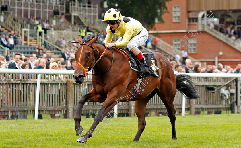 Razzle-Dazzle-0007 
 RAZZLE DAZZLE (Andrea Atzeni) wins The Mansionbet Watch And Bet British EBF Novice Stakes
Newmarket 27 Aug 2021 - Pic Steven Cargill / Racingfotos.com