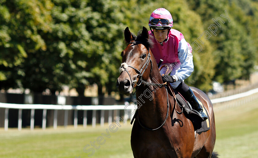 Master-Brewer-0001 
 MASTER BREWER (Hayley Turner) before winning The Betway Novice Stakes
Newmarket 30 Jun 2018 - Pic Steven Cargill / Racingfotos.com