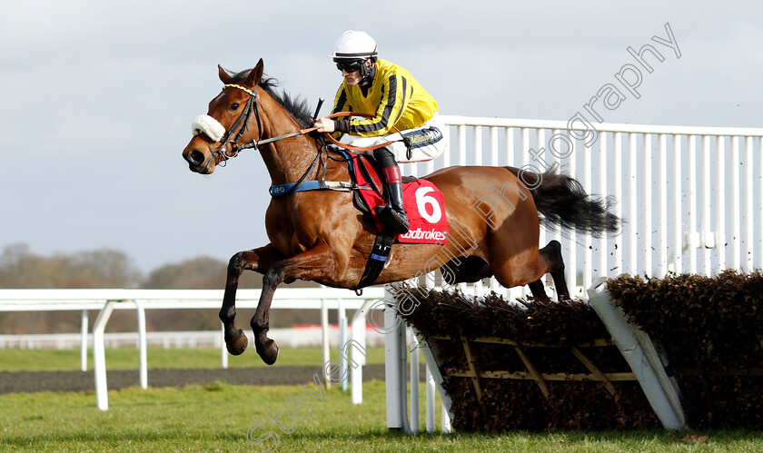 Opec-0001 
 OPEC (Sam Twiston-Davies)
Kempton 22 Feb 2025 - Pic Steven Cargill / Racingfotos.com