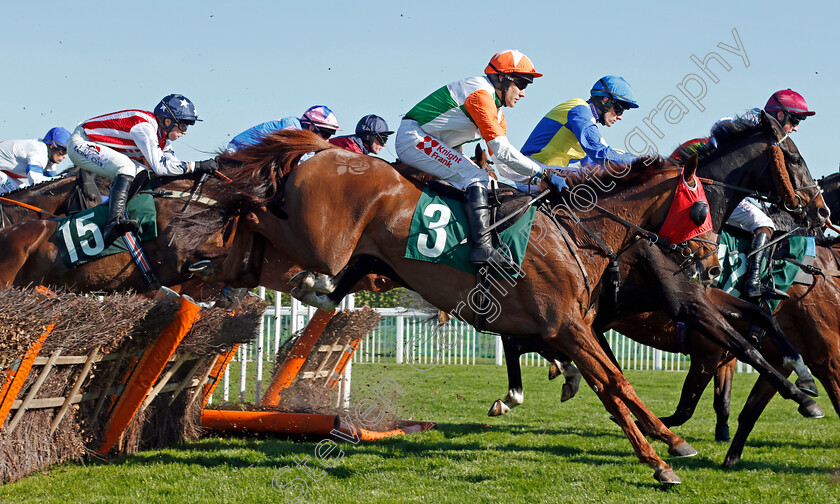 Taj-Badalandabad-0002 
 TAJ BADALANDABAD (Tom Scudamore) Cheltenham 18 Apr 2018 - Pic Steven Cargill / Racingfotos.com