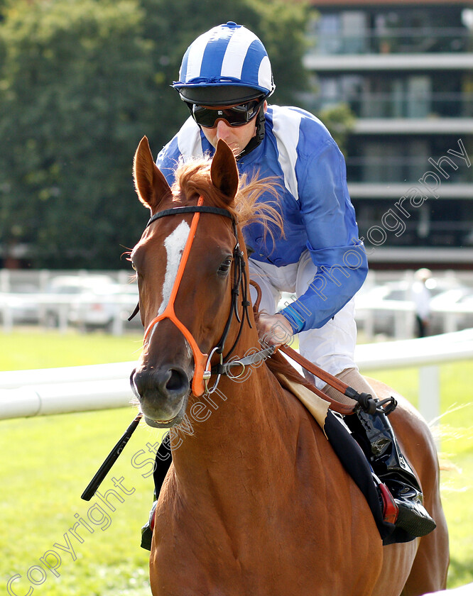 Munaajaat-0001 
 MUNAAJAAT (Martin Dwyer)
Newbury 17 Aug 2018 - Pic Steven Cargill / Racingfotos.com