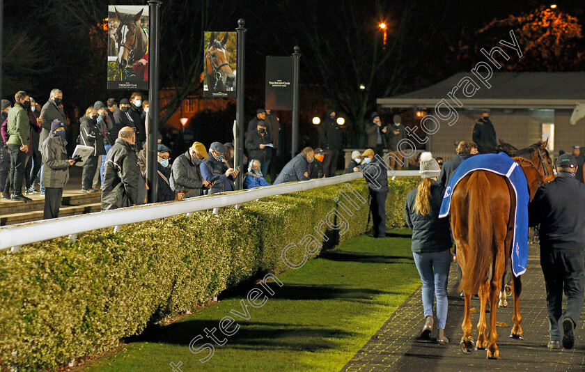 Kempton-0002 
 Punters back on the racetrack, looking at horses in the paddock
Kempton 2 Dec 2020 - Pic Steven Cargill / Racingfotos.com