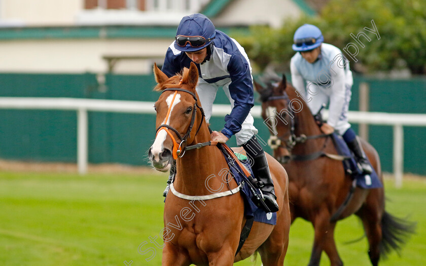 Katey-Kontent-0001 
 KATEY KONTENT (Rossa Ryan)
Yarmouth 19 Sep 2023 - Pic Steven Cargill / Racingfotos.com