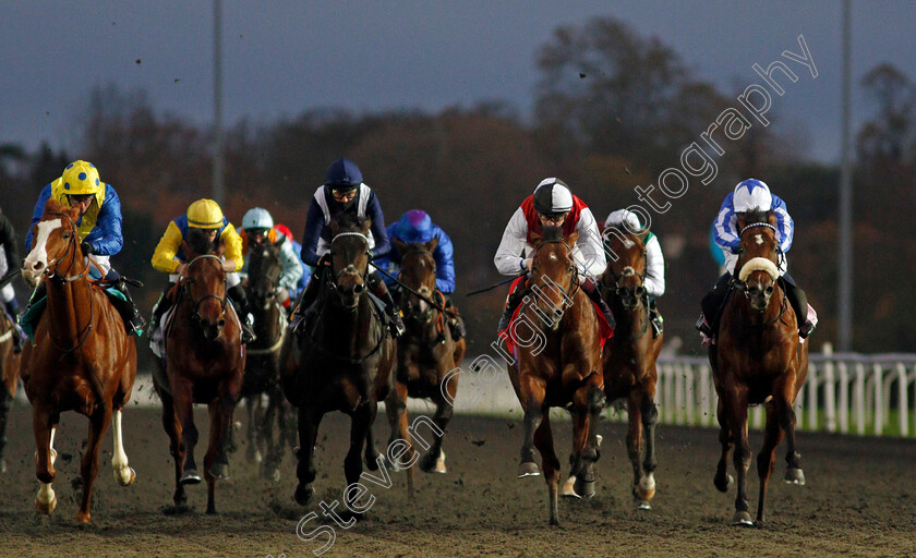 Bullace-0002 
 BULLACE (2nd right, Rob Hornby) beats NINE TALES (right) in The Unibet Extra Place Offers Every Day Novice Stakes Div1
Kempton 11 Nov 2020 - Pic Steven Cargill / Racingfotos.com