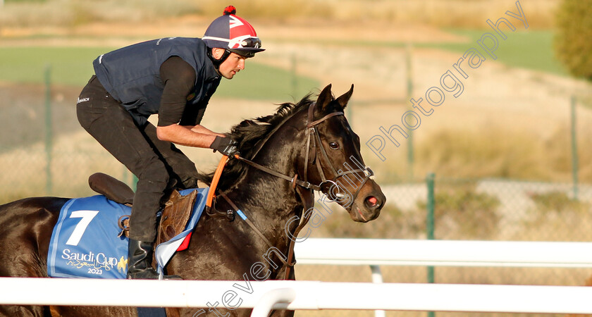 Pogo-0001 
 POGO training for The 1351 Turf Sprint
King Abdulaziz Racecourse, Kingdom Of Saudi Arabia, 23 Feb 2023 - Pic Steven Cargill / Racingfotos.com