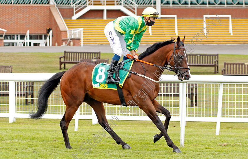 Recon-Mission-0001 
 RECON MISSION (Kevin Stott) 
Newbury 19 Jul 2020 - Pic Steven Cargill / Racingfotos.com