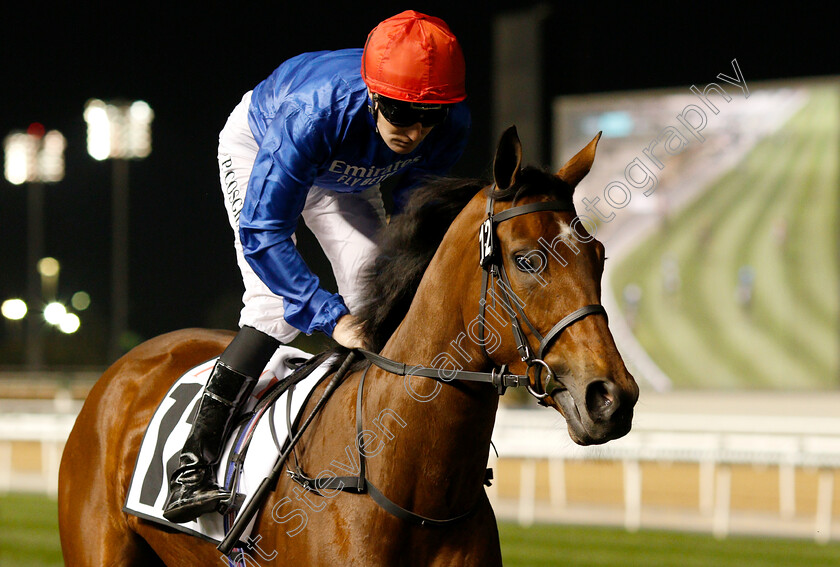 Promise-Of-Success-0001 
 PROMISE OF SUCCESS (Kevin Stott)
Meydan 14 Feb 2019 - Pic Steven Cargill / Racingfotos.com