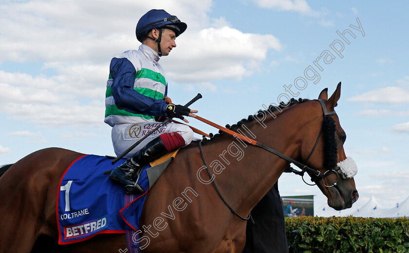 Coltrane-0001 
 COLTRANE (Oisin Murphy)
Doncaster 13 Sep 2024 - Pic Steven Cargill / Racingfotos.com