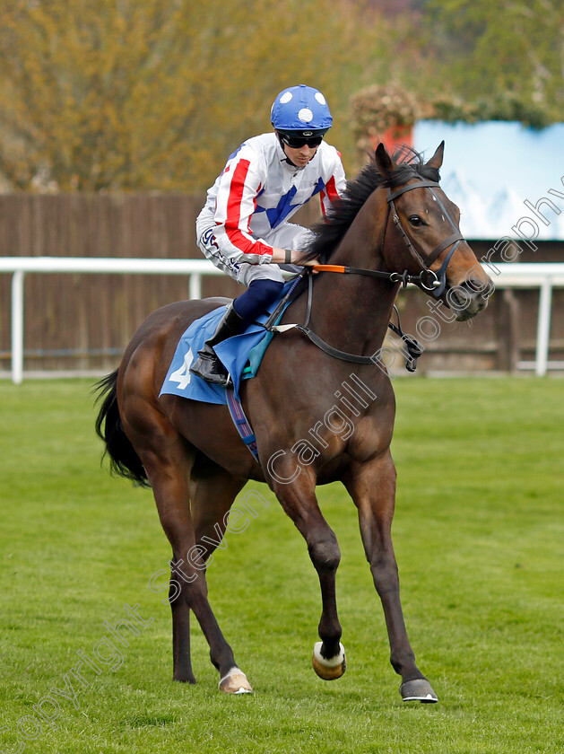 Kingsbury 
 KINGSBURY (David Probert)
Leicester 23 Apr 2022 - Pic Steven Cargill / Racingfotos.com