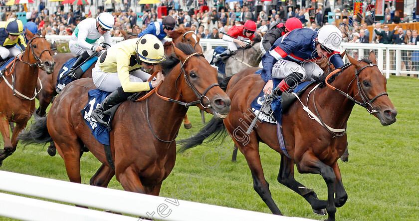 Apparate-0002 
 APPARATE (left, Rossa Ryan) beats PERSIAN MOON (right) in The Lavazza Handicap
Ascot 7 Sep 2019 - Pic Steven Cargill / Racingfotos.com