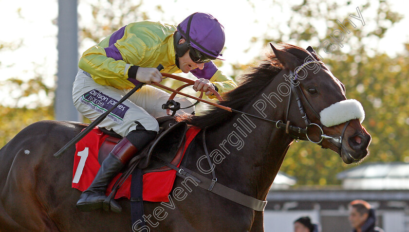 Amour-De-Nuit-0005 
 AMOUR DE NUIT (Sam Twiston-Davies) wins The Better Odds With Matchbook Novices Hurdle Kempton 22 Oct 2017 - Pic Steven Cargill / Racingfotos.com