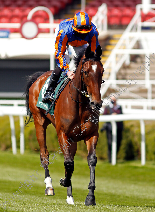 Nicest-0002 
 NICEST (Ryan Moore)
Chester 5 May 2021 - Pic Steven Cargill / Racingfotos.com