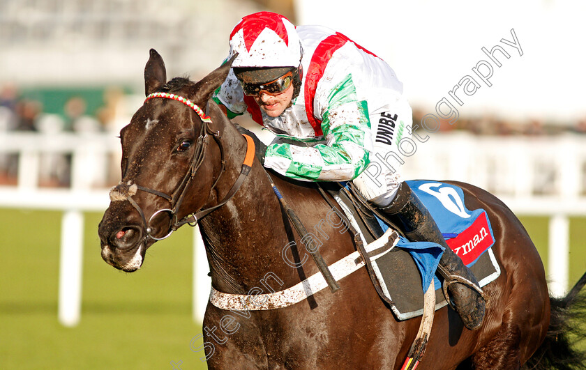 Mister-Fisher-0004 
 MISTER FISHER (Nico de Boinville) wins The Ryman Novices Chase
Cheltenham 14 Dec 2019 - Pic Steven Cargill / Racingfotos.com