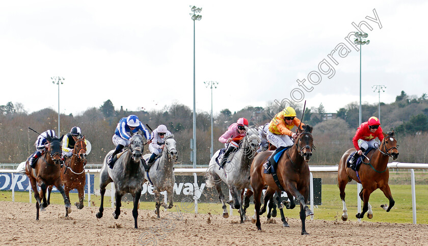 Tinker-Toy-0003 
 TINKER TOY (Jack Mitchell) wins The Mansionbet Lady Wulfruna Stakes
Wolverhampton 12 Mar 2022 - Pic Steven Cargill / Racingfotos.com