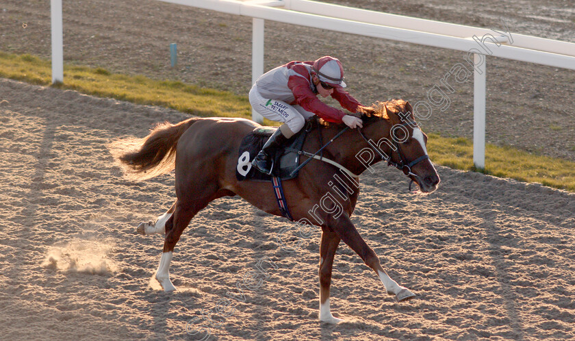 Estrela-Star-0004 
 ESTRELA STAR (Kieran O'Neill) wins The Book Online At chelmsfordcityracecourse.com Handicap
Chelmsford 11 Feb 2020 - Pic Steven Cargill / Racingfotos.com