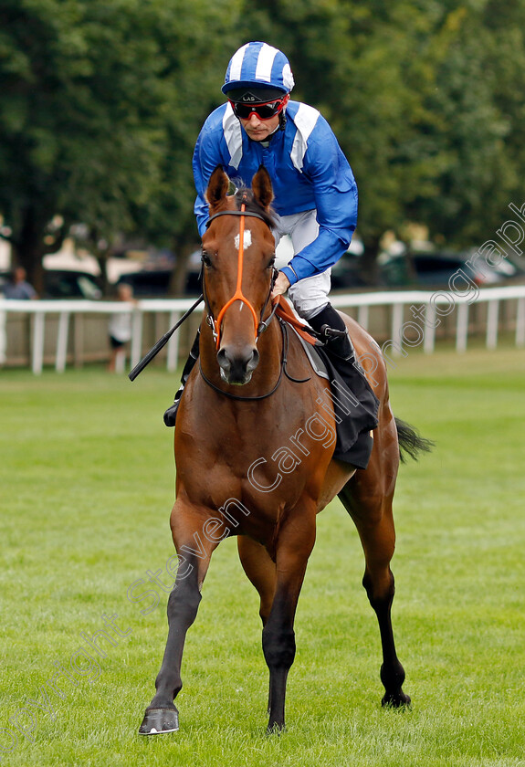 Al-Shibli-0001 
 AL SHIBLI (Dane O'Neill)
Newmarket 30th July 2022 - Pic Steven Cargill / Racingfotos.com