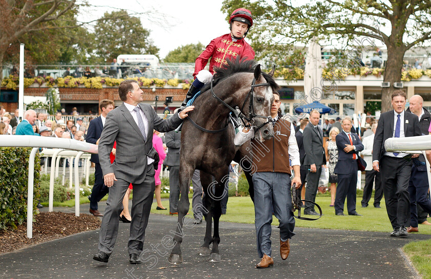 Roaring-Lion-0001 
 ROARING LION (Oisin Murphy) before The Juddmonte International Stakes
York 22 Aug 2018 - Pic Steven Cargill / Racingfotos.com