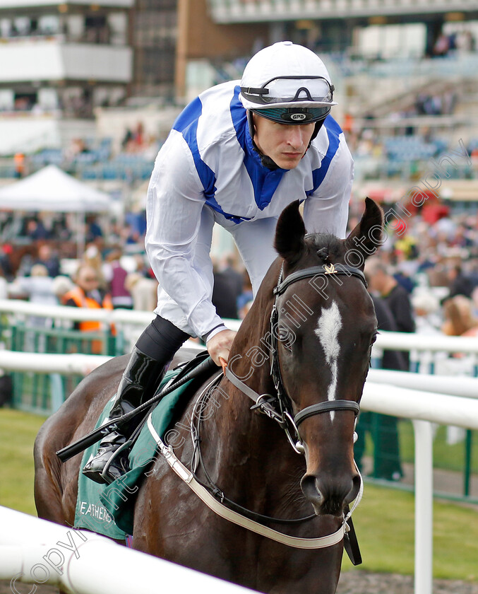 True-Statesman-0001 
 TRUE STATESMAN (Richard Kingscote)
Doncaster 8 Sep 2022 - Pic Steven Cargill / Racingfotos.com