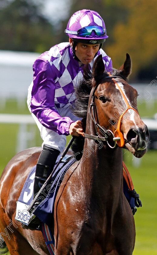 Spell-0001 
 SPELL (Sean Levey) Ascot 2 May 2018 - Pic Steven Cargill / Racingfotos.com