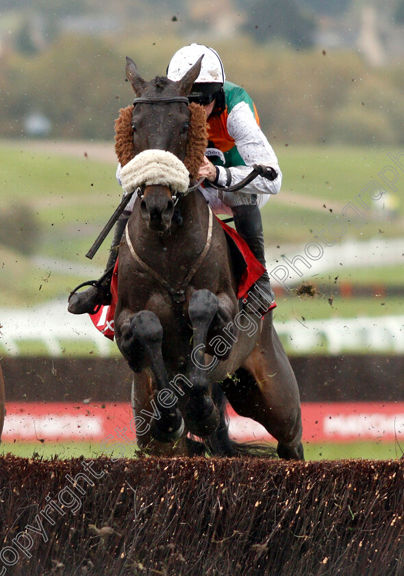 Doing-Fine-0001 
 DOING FINE (Leighton Aspell)
Cheltenham 27 Oct 2018 - Pic Steven Cargill / Racingfotos.com