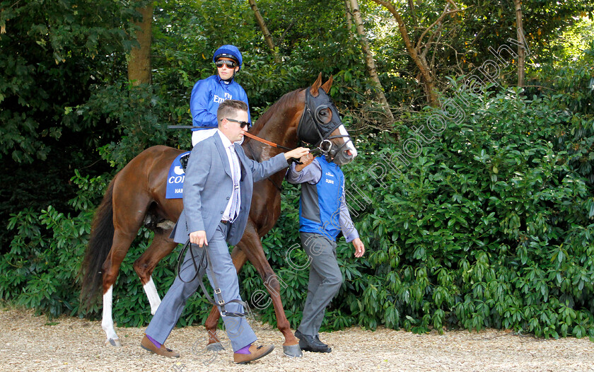 Hawkbill-0002 
 HAWKBILL (William Buick)
Sandown 7 Jul 2018 - Pic Steven Cargill / Racingfotos.com