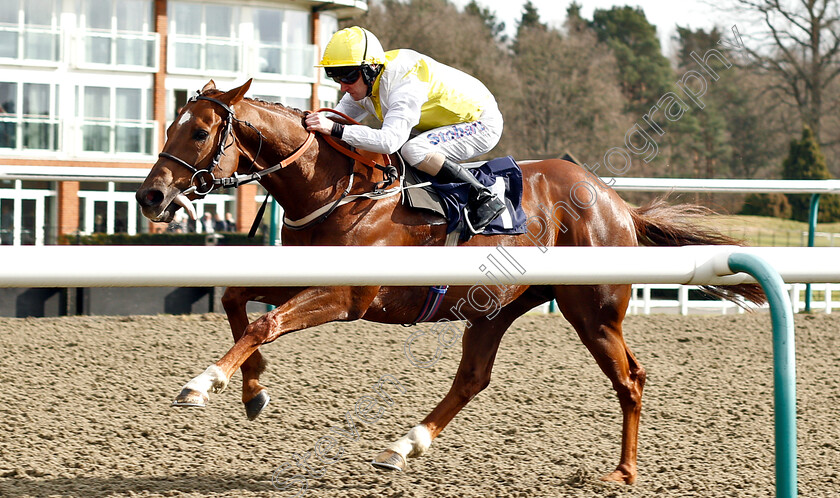 King s-Advice-0004 
 KING'S ADVICE (Joe Fanning) wins The Betway Live Casino Handicap
Lingfield 2 Mar 2019 - Pic Steven Cargill / Racingfotos.com