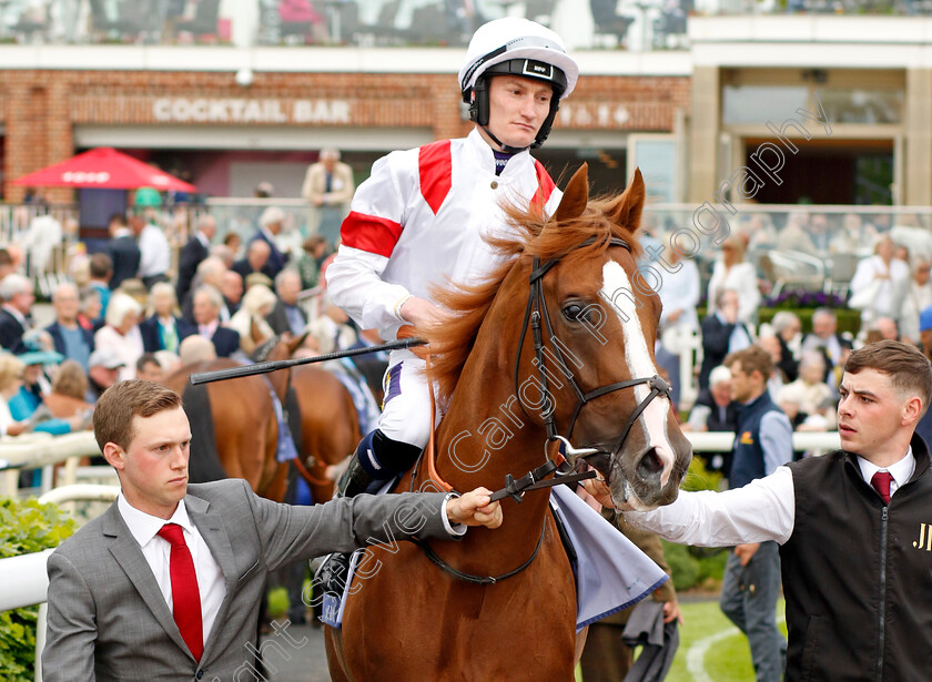 Canberra-Legend-0001 
 CANBERRA LEGEND (Daniel Muscutt)
York 18 May 2023 - Pic Steven Cargill / Racingfotos.com