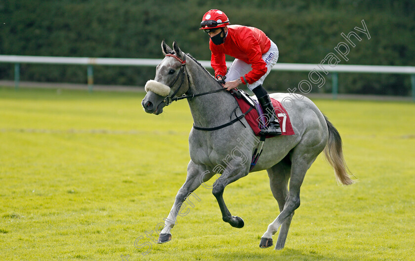 Shepherds-Way-0001 
 SHEPHERDS WAY (Clifford Lee) winner of The Betfair Exchange Handicap
Haydock 4 Sep 2020 - Pic Steven Cargill / Racingfotos.com