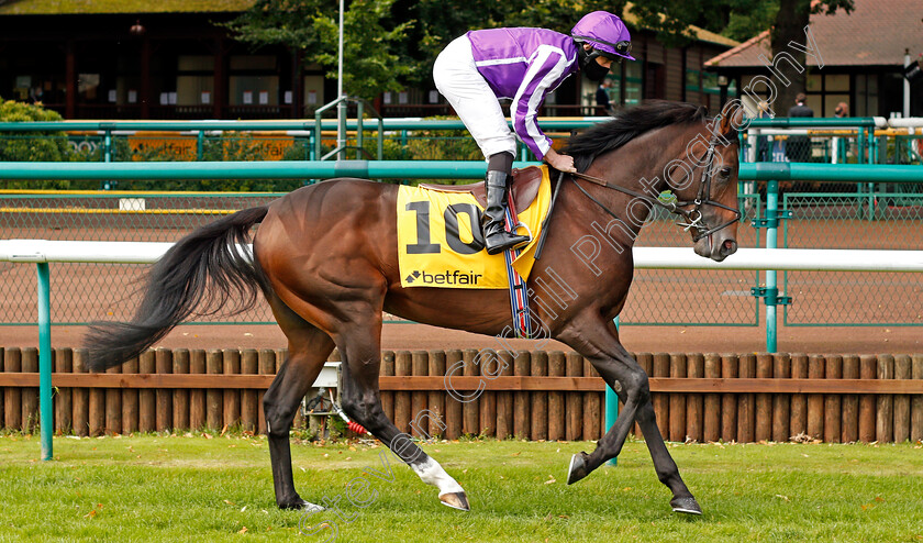 Lope-Y-Fernandez-0001 
 LOPE Y FERNANDEZ (Ryan Moore)
Haydock 5 Sep 2020 - Pic Steven Cargill / Racingfotos.com