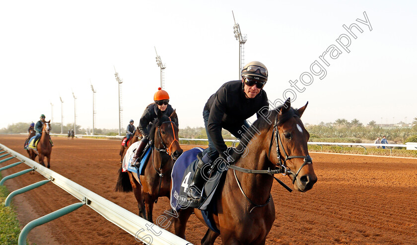 Cherokee-Trail-0001 
 CHEROKEE TRAIL preparing for Saudi Derby
Riyadh Racetrack, Kingdom Of Saudi Arabia, 27 Feb 2020 - Pic Steven Cargill / Racingfotos.com