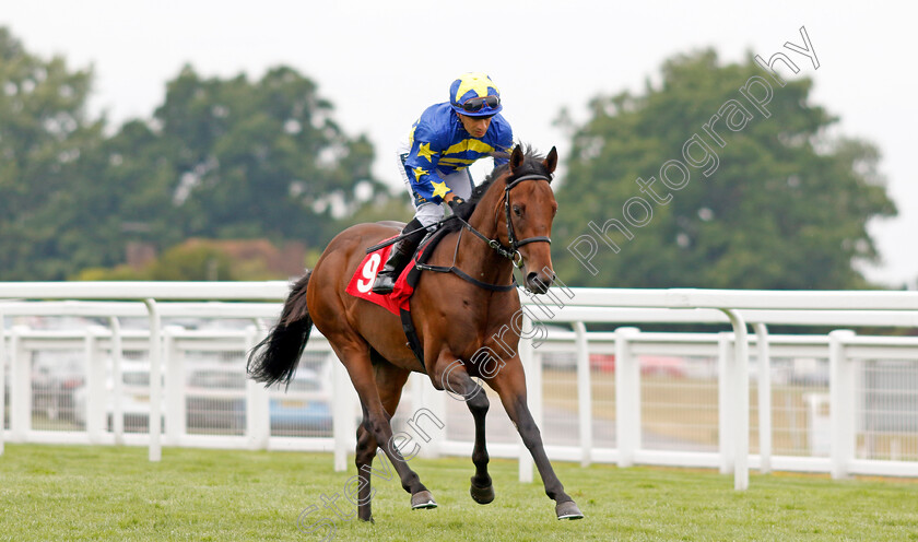 Mysterious-Maestro 
 MYSTERIOUS MAESTRO (Silvestre de Sousa)
Sandown 21 Jul 2022 - Pic Steven Cargill / Racingfotos.com