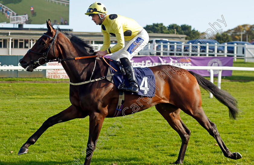 Regal-Agenda-0001 
 REGAL AGENDA (Clifford Lee)
Yarmouth 22 Oct 2024 - Pic Steven Cargill / Racingfotos.com