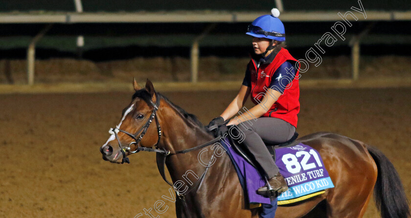 The-Waco-Kid-0002 
 THE WACO KID training for the Breeders' Cup Juvenile Turf 
Del Mar USA 30 Oct 2024 - Pic Steven Cargill / Racingfotos.com