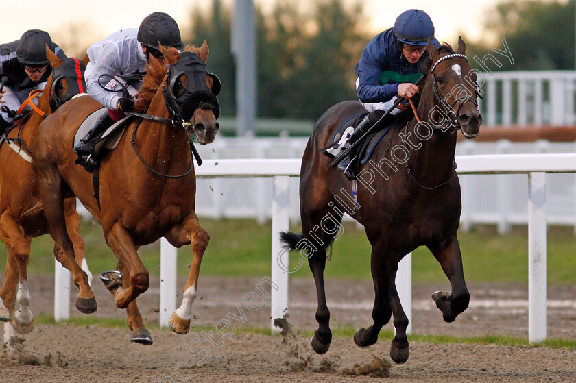 Capla-Knight-0005 
 CAPLA KNIGHT (Tom Marquand) beats ACCRINGTON STANLEY (left) in The tote Placepot Your First Bet Claiming Stakes
Chelmsford 8 Oct 2020 - Pic Steven Cargill / Racingfotos.com