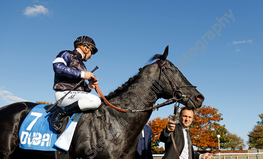 Topgear-0008 
 TOPGEAR (Stephane Pasquier) winner of The Thoroughbred Industry Employee Awards Challenge Stakes
Newmarket 11 Oct 2024 - pic Steven Cargill / Racingfotos.com