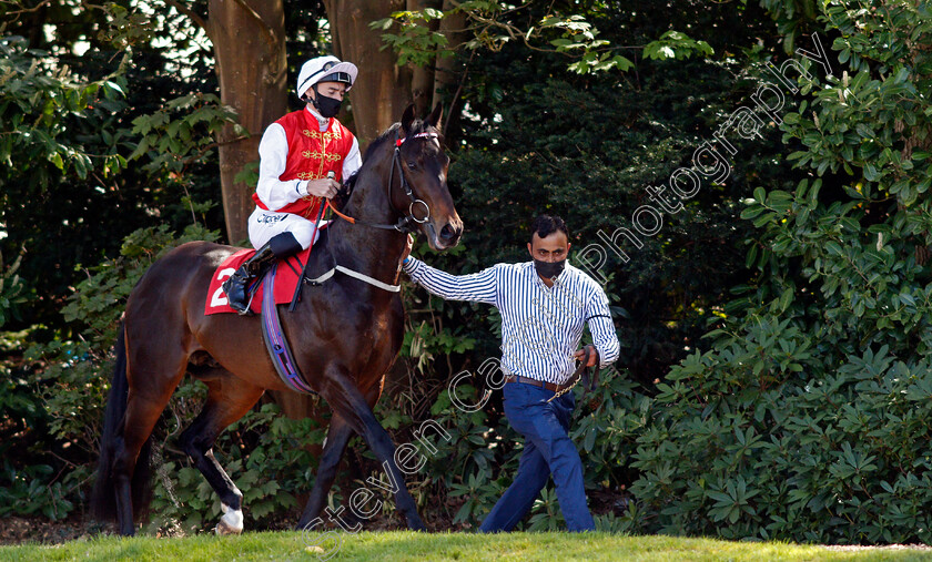 Nomadic-Empire-0001 
 NOMADIC EMPIRE (Daniel Tudhope)
Sandown 23 Apr 2021 - Pic Steven Cargill / Racingfotos.com