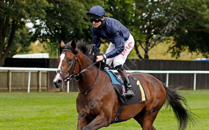 Army-General-0002 
 ARMY GENERAL (Robert Havlin)
Newmarket 27 Aug 2021 - Pic Steven Cargill / Racingfotos.