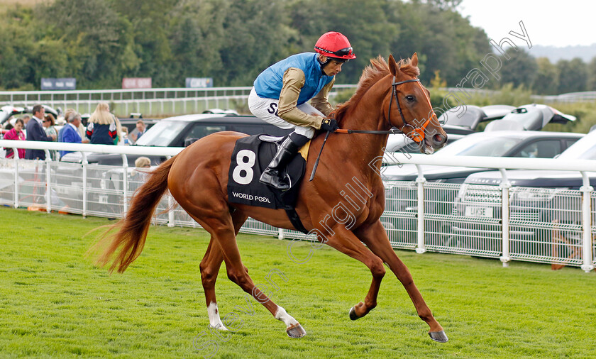 Isaac-Shelby-0001 
 ISAAC SHELBY (Sean Levey)
Goodwood 1 Aug 2023 - Pic Steven Cargill / Racingfotos.com