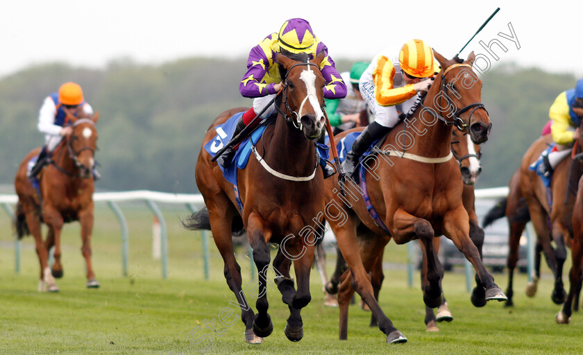 Daddies-Girl-0002 
 DADDIES GIRL (left, Theodore Ladd) beats HATEYA (right) in The British Stallion Studs EBF Fillies Handicap
Nottingham 30 Apr 2019 - Pic Steven Cargill / Racingfotos.com