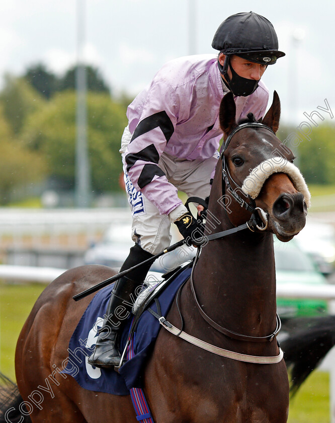 Bridgetown-0002 
 BRIDGETOWN (Cam Hardie)
Wolverhampton 24 May 2021 - Pic Steven Cargill / Racingfotos.com