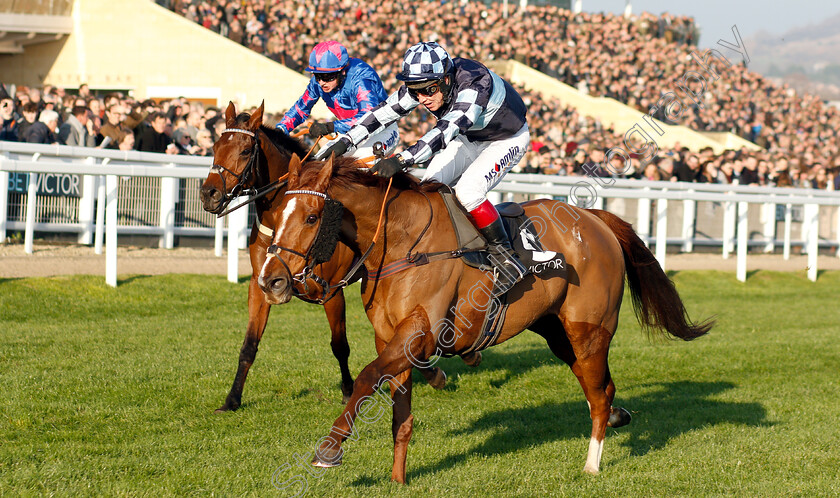 Rock-The-Kasbah-0008 
 ROCK THE KASBAH (Richard Johnson) wins The BetVictor.com Handicap Chase
Cheltenham 17 Nov 2018 - Pic Steven Cargill / Racingfotos.com